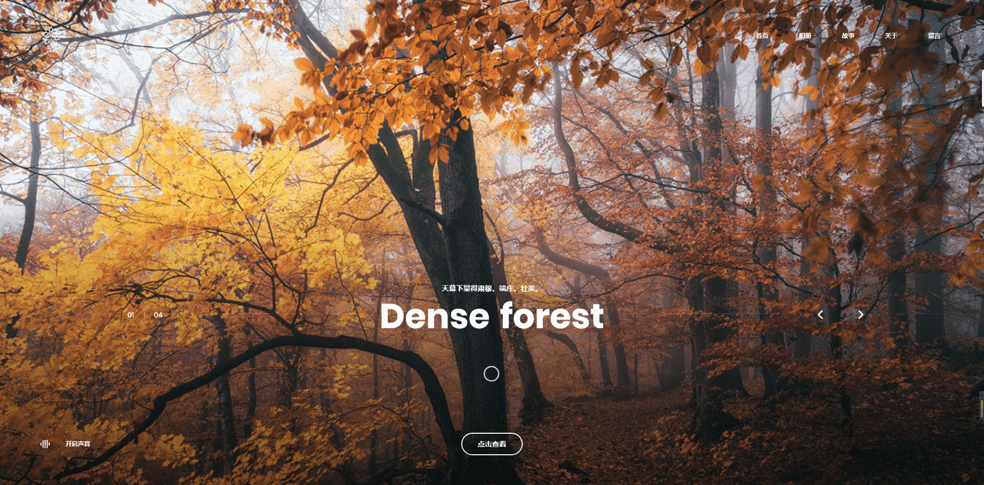 Satelite ( v.1.9 ) - 个人图像设计摄影类WordPress主题(已汉化)