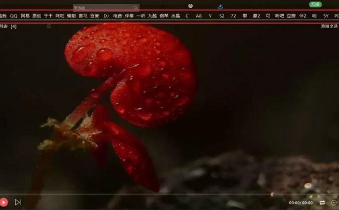 屌丝音乐播放器 - 32个音乐平台VIP免费用